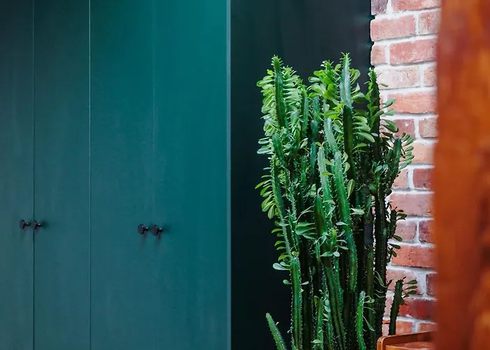 Vista Dluga Bydgoszcz